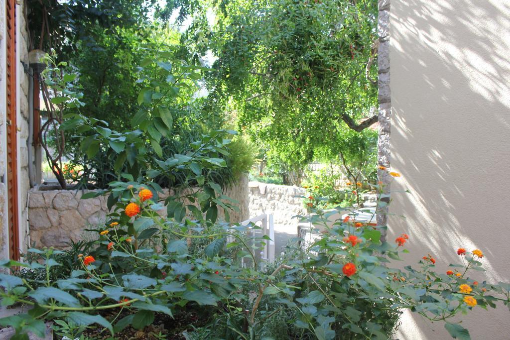 Apartments Boris Zaton  Extérieur photo